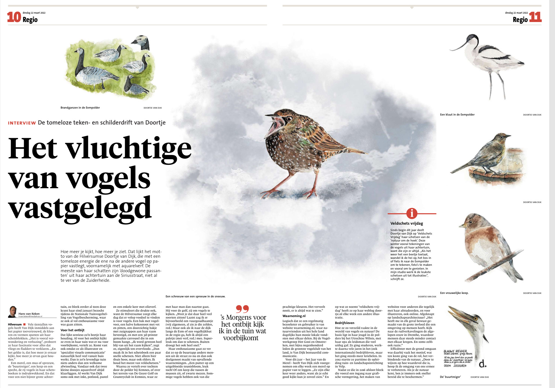 Doortje van Dijk doortje.NL Gooi en Eemlander Het vluchtige van vogels vastgelegd natuurillustraties natuurillustrator