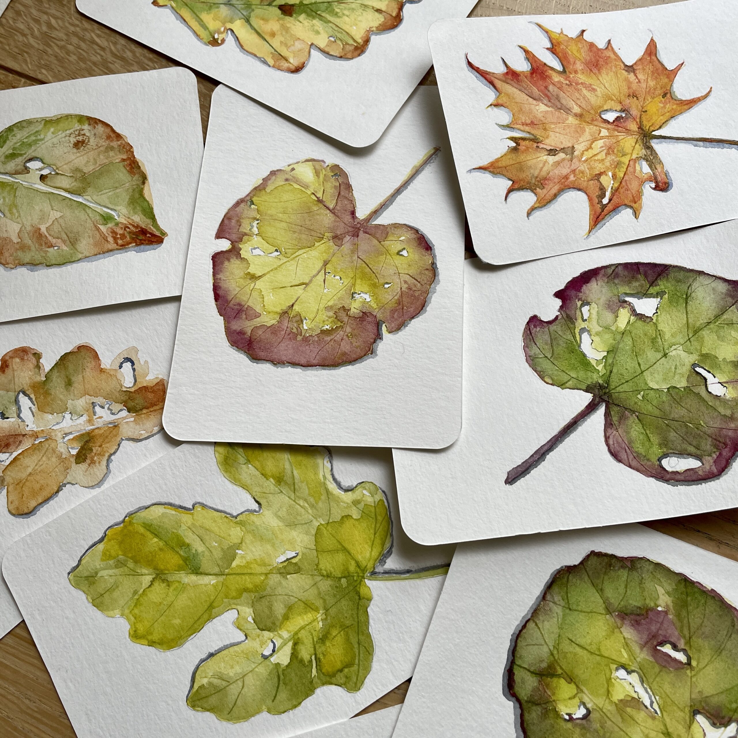 natuurillustratie doortje.NL herfstbladeren aquarel