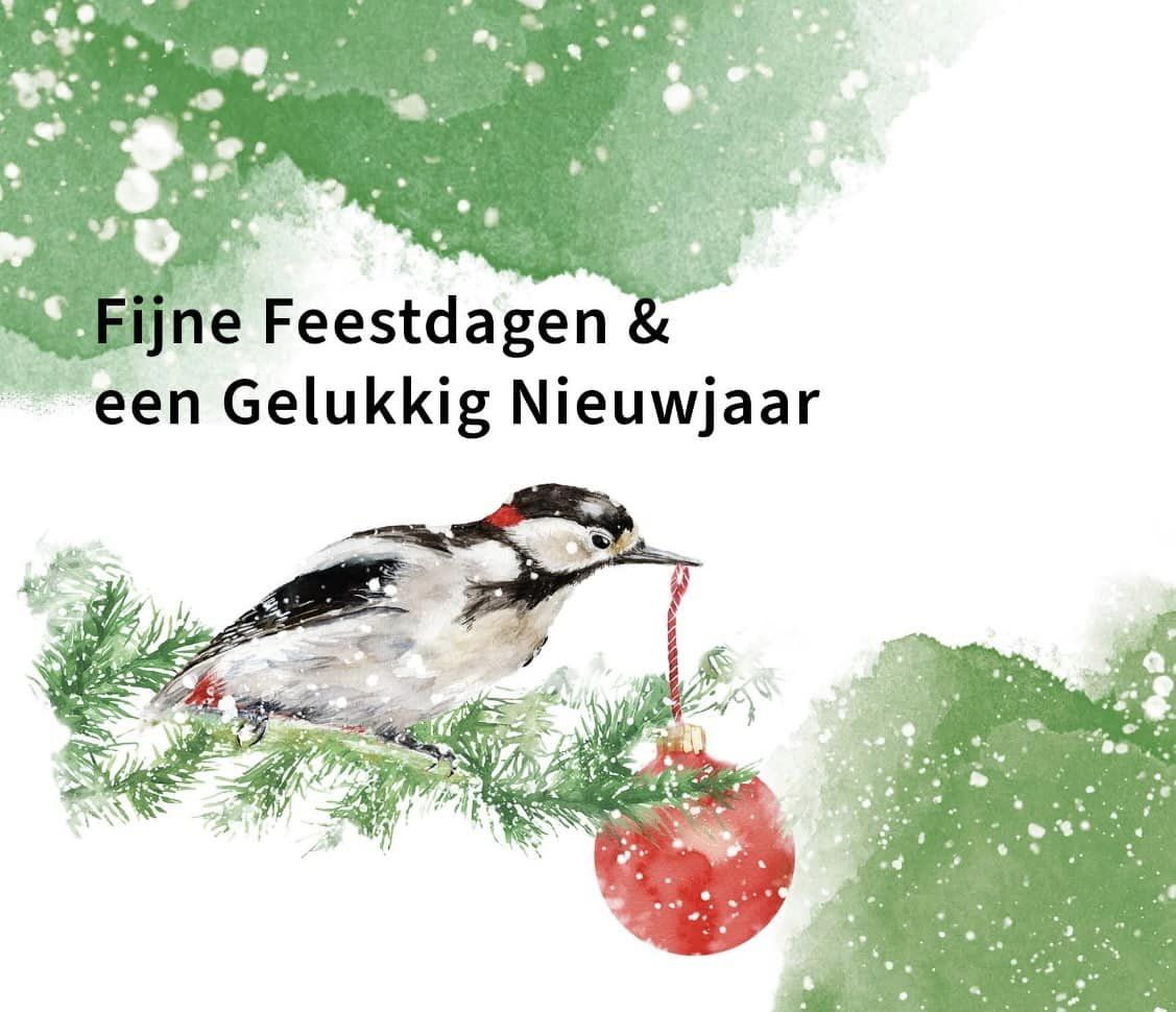 doortje.NL vogelillustratie natuurillustratie feestdagen kerstkaart grote bonte specht