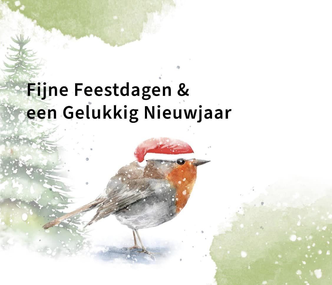 doortje.NL vogelillustratie natuurillustratie feestdagen roodborst kerstkaart